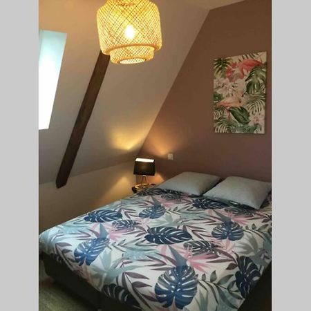 Appartement Dans Maison De 1789 Au Centre De Vitre Екстер'єр фото